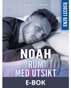 Rum med utsikt, E-bok