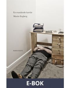 En enastående karriär, E-bok
