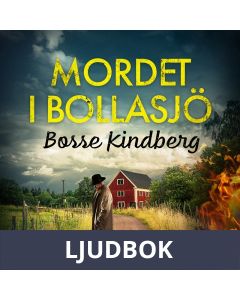 Mordet i Bollasjö, Ljudbok
