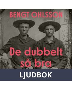 De dubbelt så bra, Ljudbok