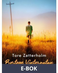 Bortom Vintergatan, E-bok