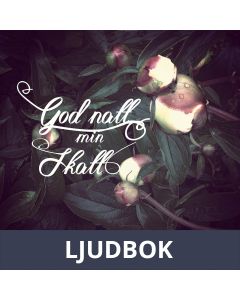 God natt min skatt, Ljudbok