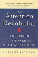 The Attention RE: v.ution