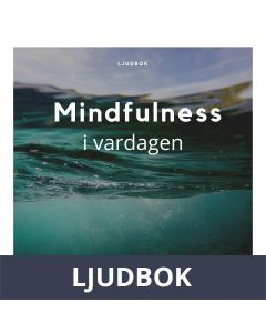 Mindfulness i vardagen, Ljudbok