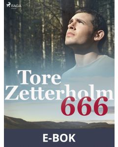 666, E-bok