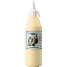 Silverlotion 250 ml