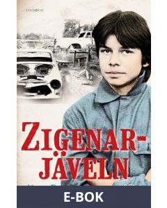 Zigenarjäveln - del 1: 1965 - 85, E-bok