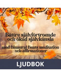 Bättre självförtroende och ökad självkänsla med Binaural Beats meditation och affirmationer, Ljudbok
