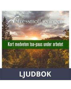 Kort medveten toa-paus under arbetet, Ljudbok