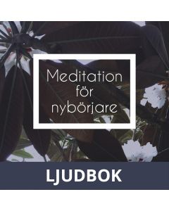 Meditation för nybörjare, Ljudbok