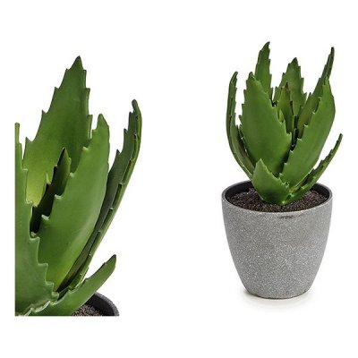 Dekorativ växt Aloe Vera Plast (14 x 20 x 14 cm)