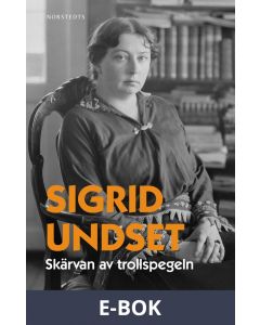 Skärvan av trollspegeln, E-bok