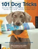 101 Dog Tricks: Volume 1