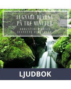 Lugnare hjärna på 3 minuter , Ljudbok