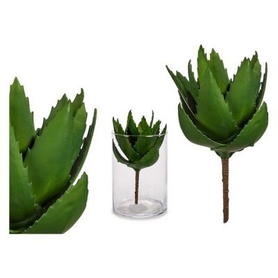 Dekorativ växt Aloe Vera (14 x 23 x 14 cm)