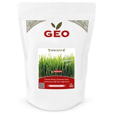 Vetegräsfrö EKO 600 gram