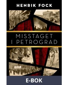 Misstaget i Petrograd, E-bok