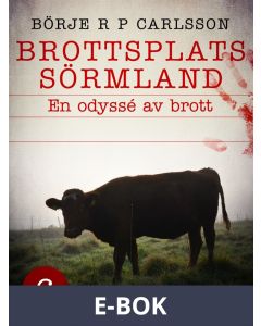 Brottsplats Sörmland. 6, En odyssé av brott, E-bok