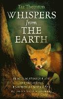 Whispers from the Earth - Teaching stories from the ancestors, beautifully woven for today`s spiritual seekers
