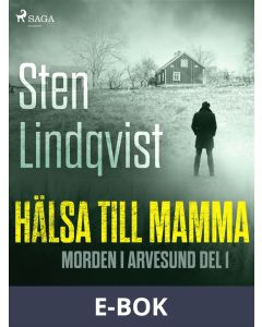 Hälsa till mamma, E-bok