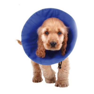 Elizabethan Hundhalsband KVP EZ Soft Blå (18-38 cm)