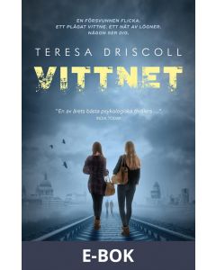 Vittnet, E-bok