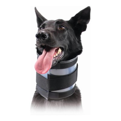 Cervikalhalsband för hundar KVP Svart (18-53 cm)