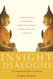 Insight Dialogue