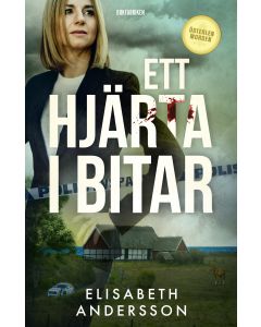 Ett hjärta i bitar