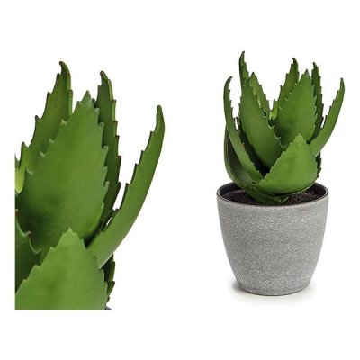 Dekorativ växt Aloe Vera Plast (14 x 23 x 14 cm)