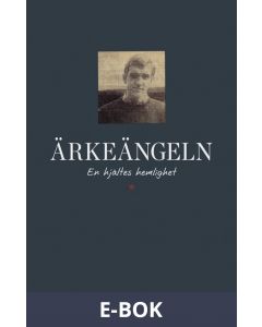 Ärkeängeln - En hjältes hemlighet, E-bok