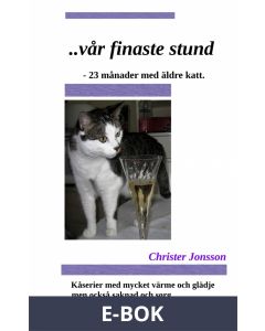 ...vår finaste stund: 23 månader med äldre katt, E-bok