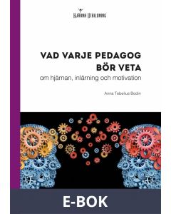 Vad varje pedagog bör veta - om hjärnan, inlärning och motivation, E-bok