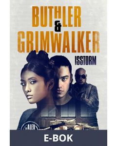Isstorm, E-bok