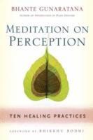 Meditation on Perception