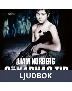 Sökarnas tid: Örnligan, nollpunkten, vägen ut, Ljudbok