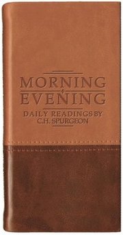 Morning And Evening - Matt Tan/Burgundy