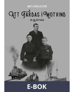Att färdas i motvind, E-bok
