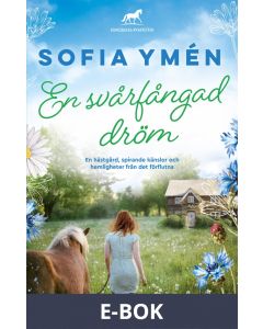 En svårfångad dröm, E-bok