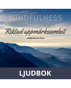 Riktad Uppmärksamhet , Ljudbok