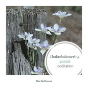 Chakrabalansering